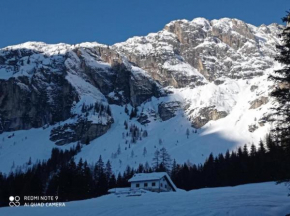 Affitta Camere Da Annarè Comelico Superiore